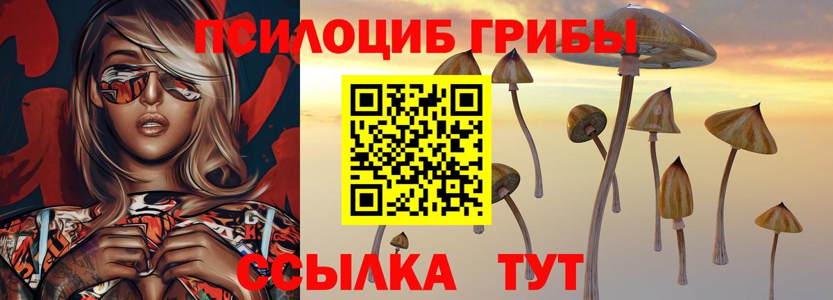 Галлюциногенные грибы Cubensis  Псилоцибиновые грибы прущие грибы  Вход с VPN  Старая Купавна 